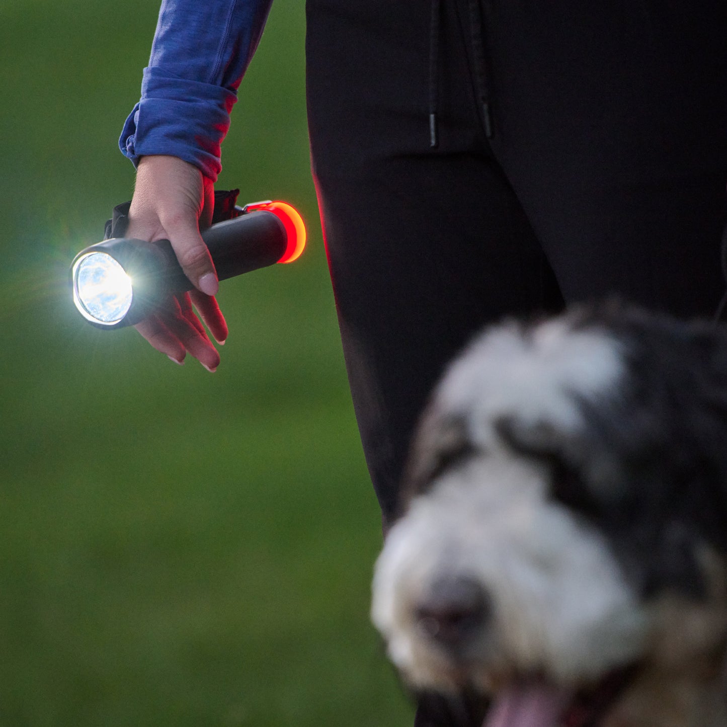 Firefly Flashlight