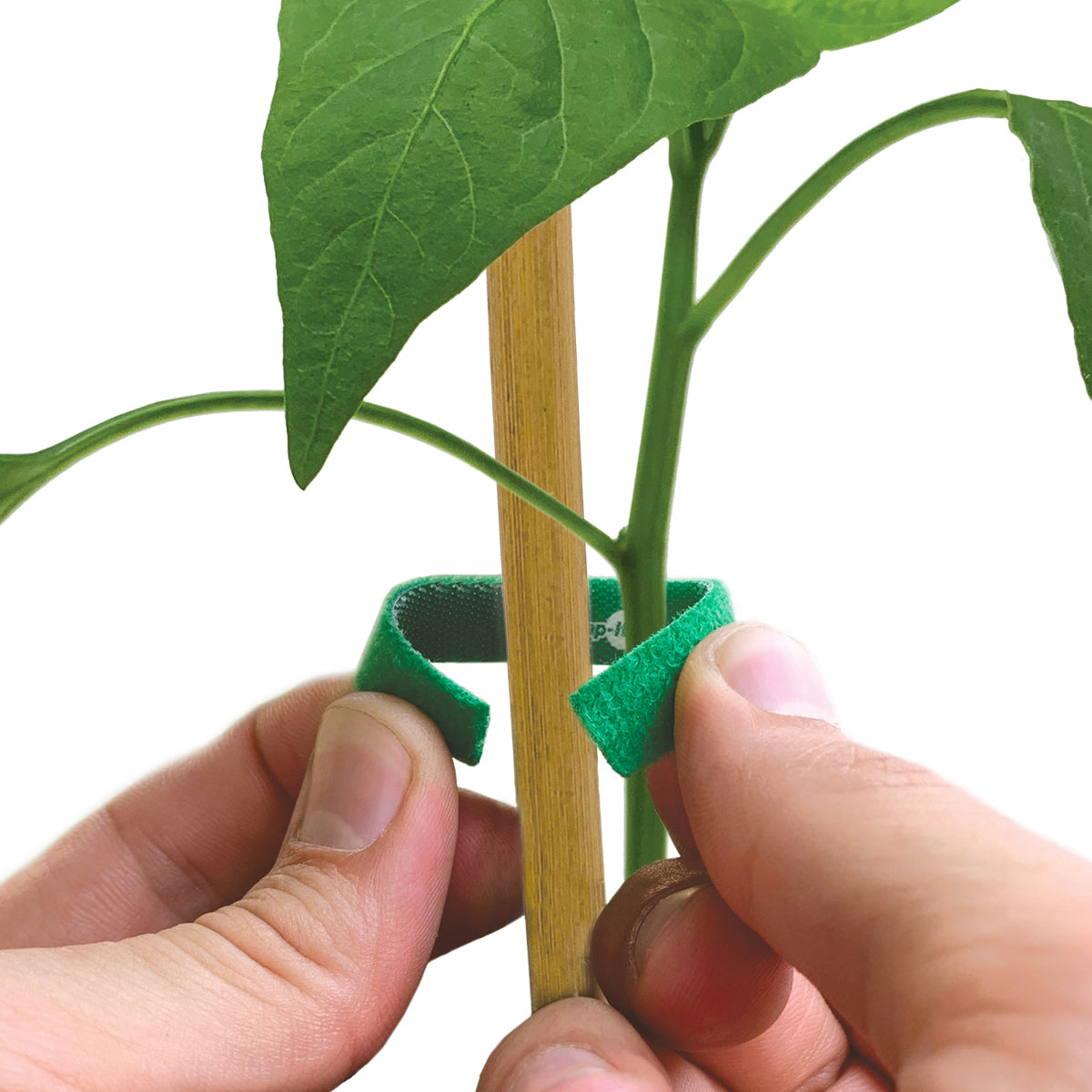 Self-Gripping Perforated Roll 12' x .50" Green - Wrap-It Storage